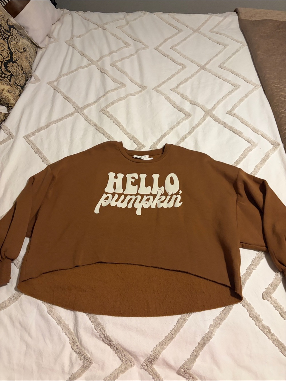Zenana Outfitters Brown Crewneck Sweatshirt with Cream "Hello Pumpkin" Script